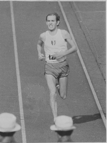 Dominique Chauvelier