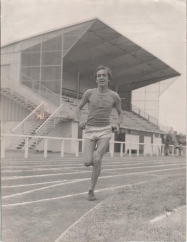 Dominique Chauvelier